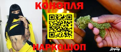 мяу мяу мука Гатчина