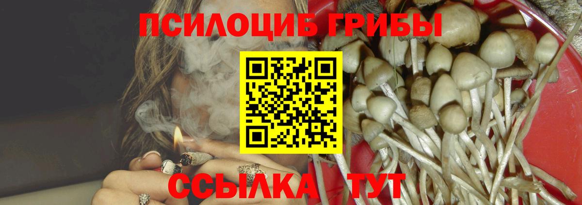 Псилоцибиновые грибы мицелий Гатчина
