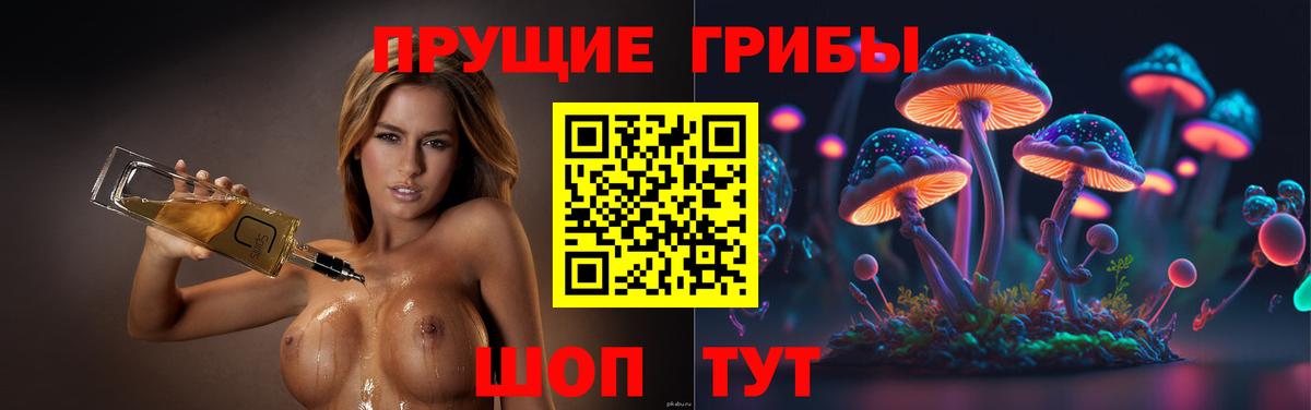 Псилоцибиновые грибы Cubensis  Псилоцибиновые грибы Psilocybe  Гатчина  Вход с VPN 